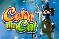 Colin the Cat